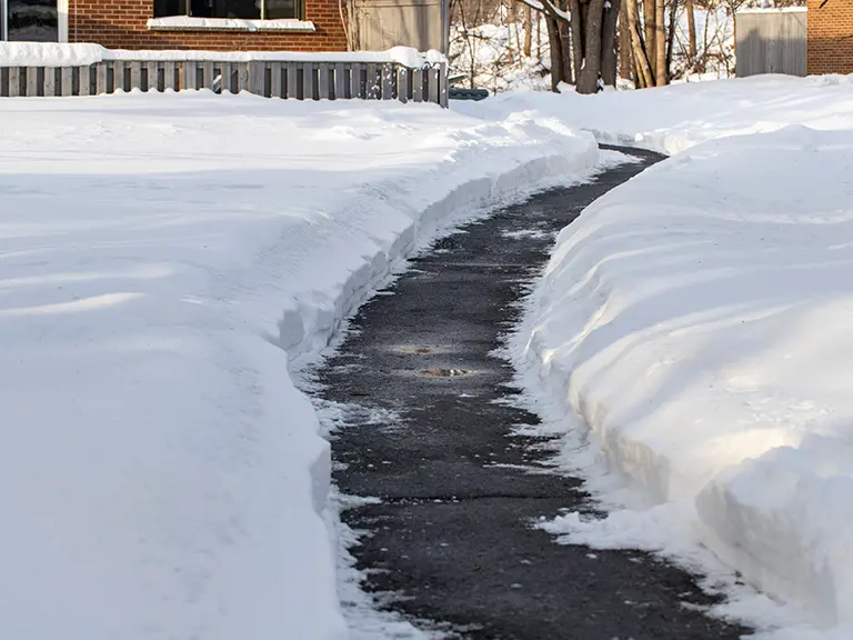 Snow-shoveled walkway
